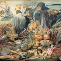 Jigsaw Puzzle