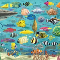 Jigsaw Puzzle