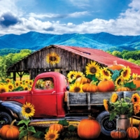 Jigsaw Puzzle