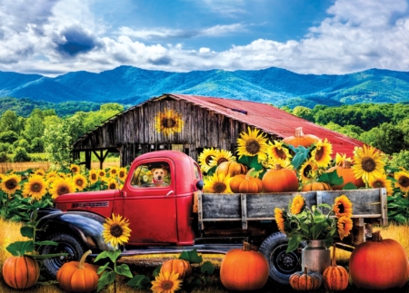 Jigsaw Puzzle
