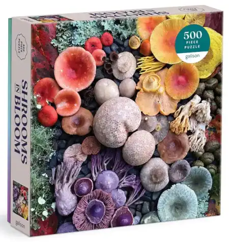 Jigsaw Puzzle