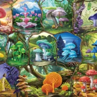 Jigsaw Puzzle