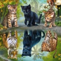 Jigsaw Puzzle