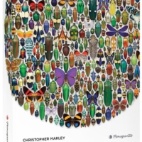 Jigsaw Puzzle