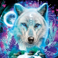 Jigsaw Puzzle