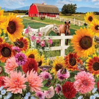 Jigsaw Puzzle