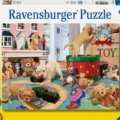 Jigsaw Puzzle