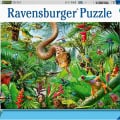 Jigsaw Puzzle
