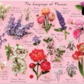 Jigsaw Puzzle
