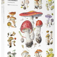 Jigsaw Puzzle