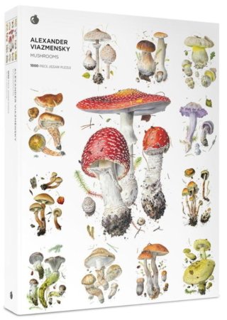 Jigsaw Puzzle