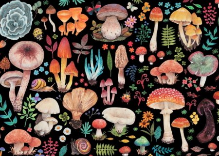 Jigsaw Puzzle