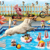 Jigsaw Puzzle
