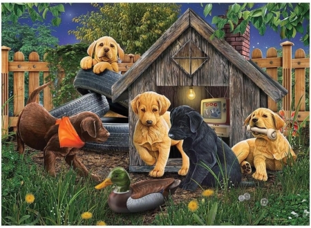 Jigsaw Puzzle