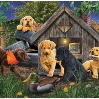 Jigsaw Puzzle