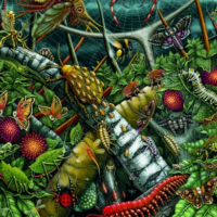 Jigsaw Puzzle