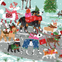Jigsaw Puzzle