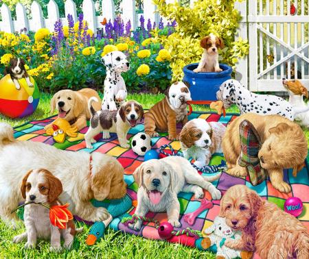 Jigsaw Puzzle