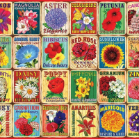 Jigsaw Puzzle