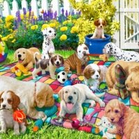 Jigsaw Puzzle