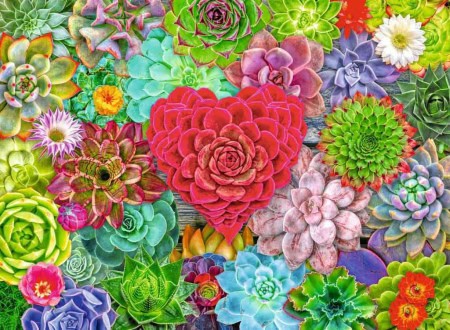 Jigsaw Puzzle