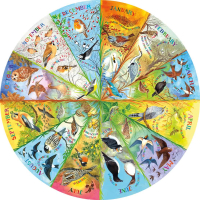 Jigsaw Puzzle