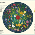 Jigsaw Puzzle