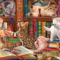 Jigsaw Puzzle
