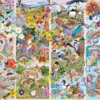 Jigsaw Puzzle