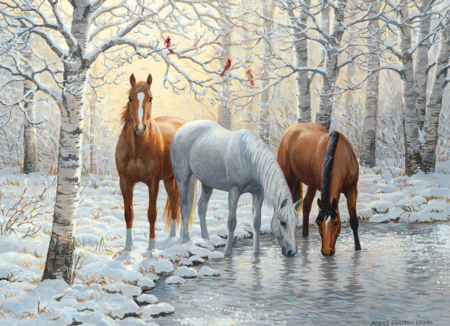 Jigsaw Puzzle