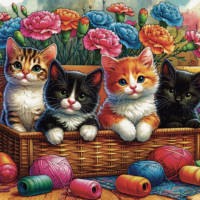 Jigsaw Puzzle