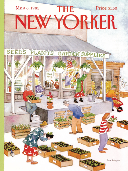 Jigsaw Puzzle