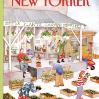 Jigsaw Puzzle
