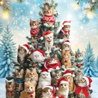 Jigsaw Puzzle
