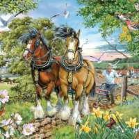 Strength & Beauty BIG 250 piece jigsaw puzzle 11 Jigsaw Puzzle