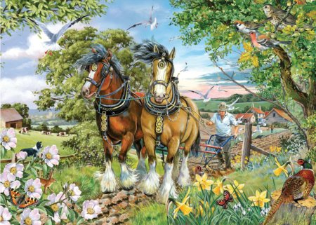 Jigsaw Puzzle