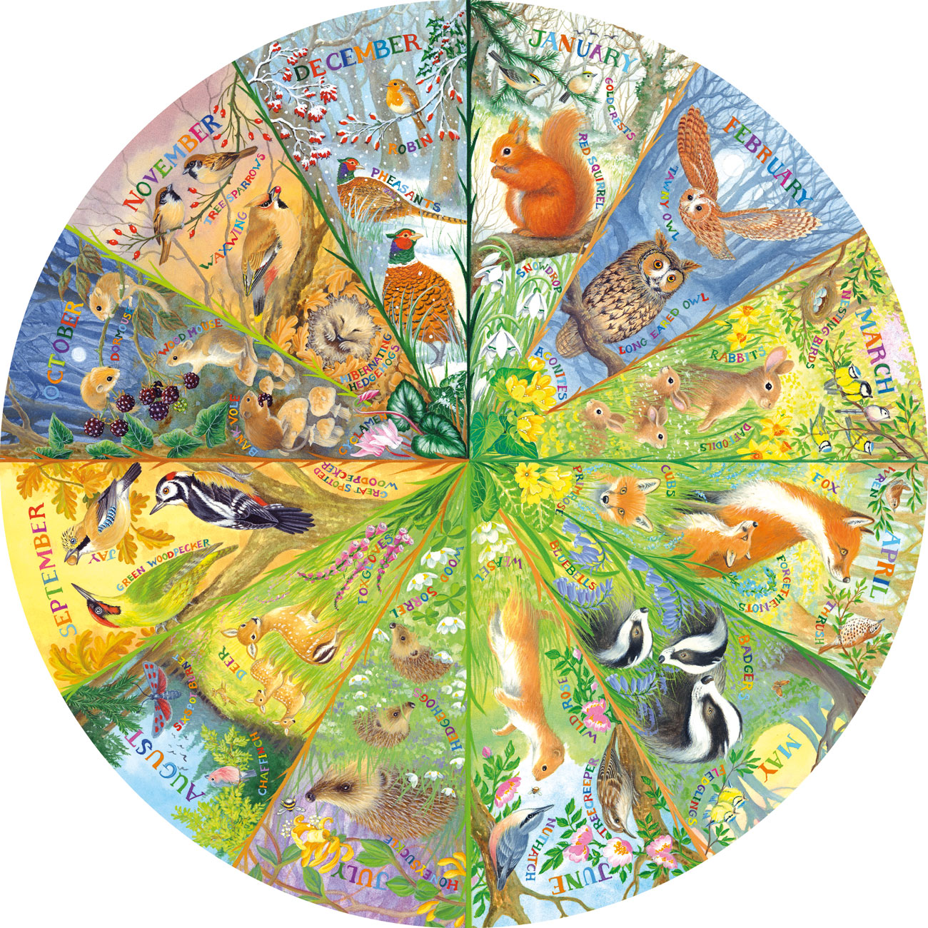 National Trust A Year in the Forest 500 piece circular jigsaw puzzle 6 Jigsaw Puzzle