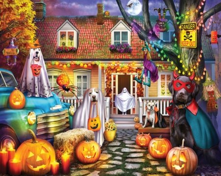 Jigsaw Puzzle