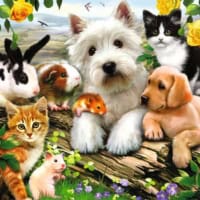 Jigsaw Puzzle