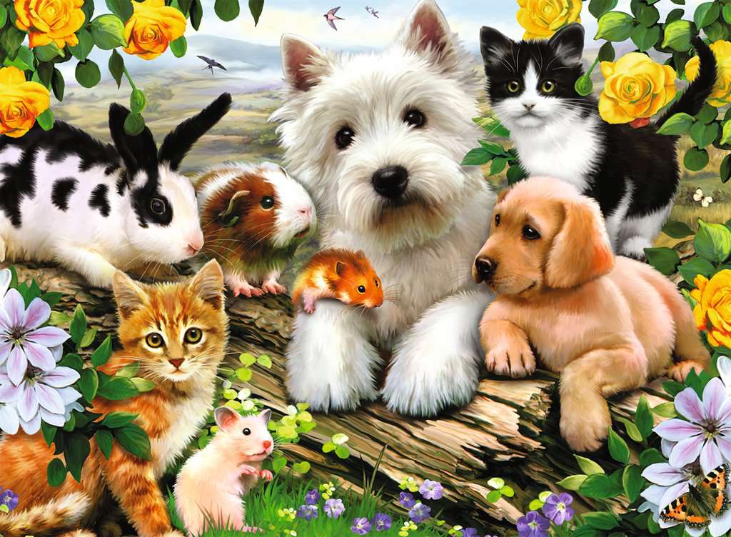Jigsaw Puzzle