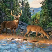 Jigsaw Puzzle