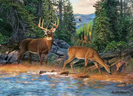 Jigsaw Puzzle