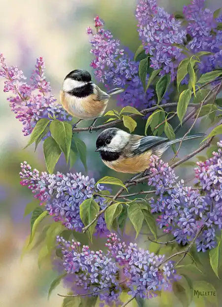 Jigsaw Puzzle