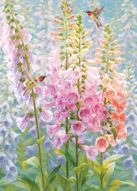 Jigsaw Puzzle