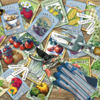 Jigsaw Puzzle