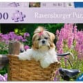 Jigsaw Puzzle
