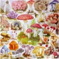Jigsaw Puzzle