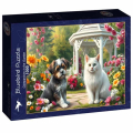 Jigsaw Puzzle