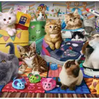 Jigsaw Puzzle