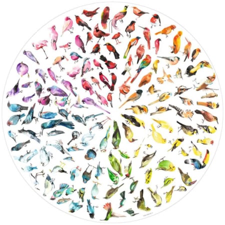 Jigsaw Puzzle